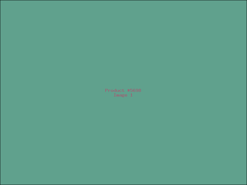 Example Product 5698
