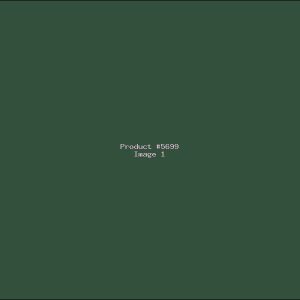 Example Product 5699