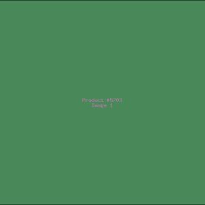 Example Product 5703