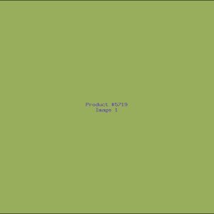 Example Product 5719