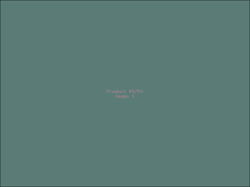 Example Product 5753