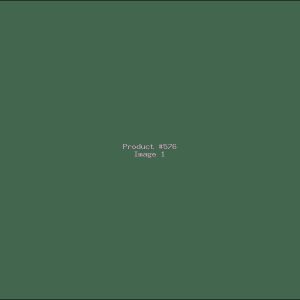 Example Product 576