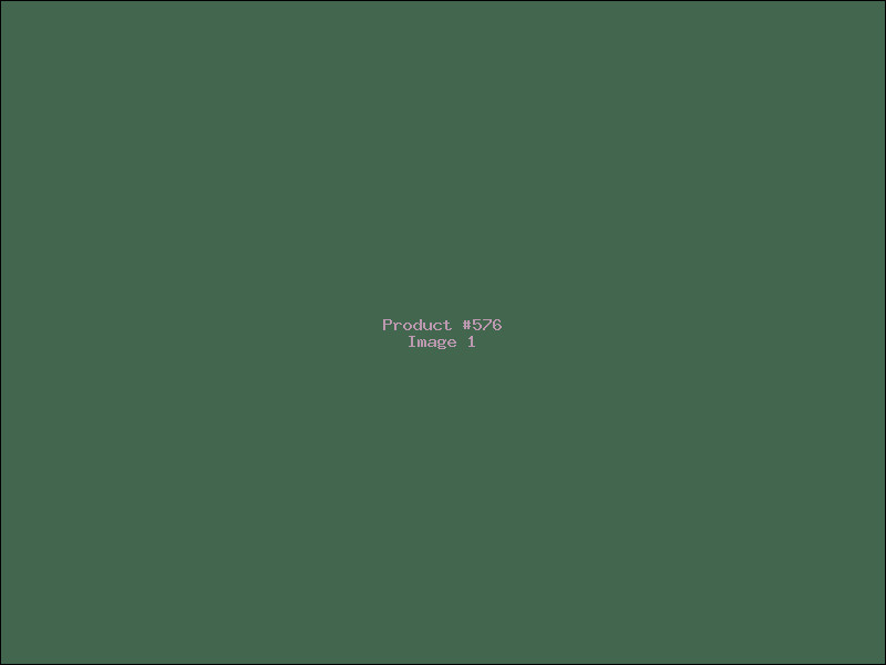 Example Product 576