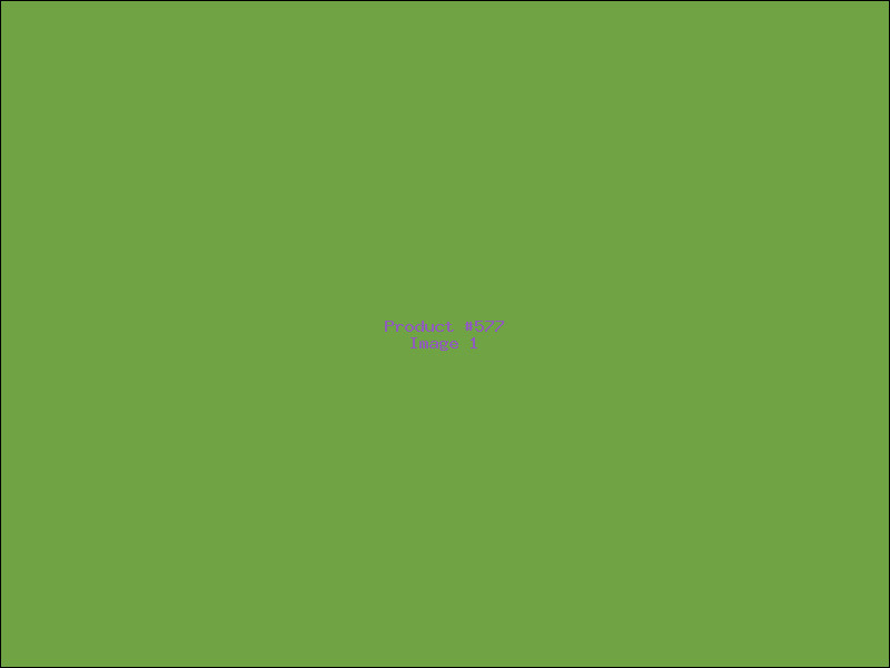 Example Product 577