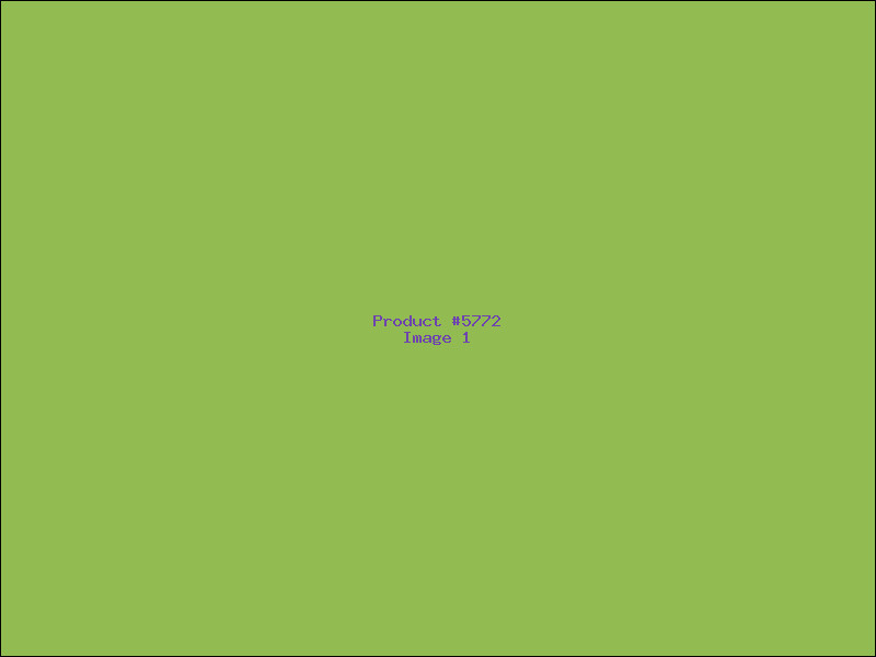 Example Product 5772
