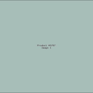 Example Product 5787