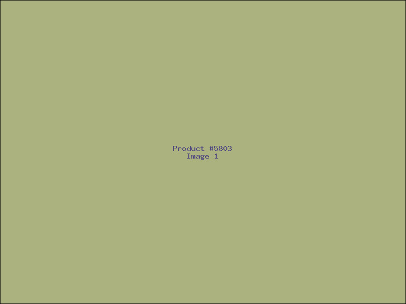Example Product 5803