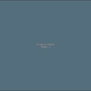 Example Product 5812