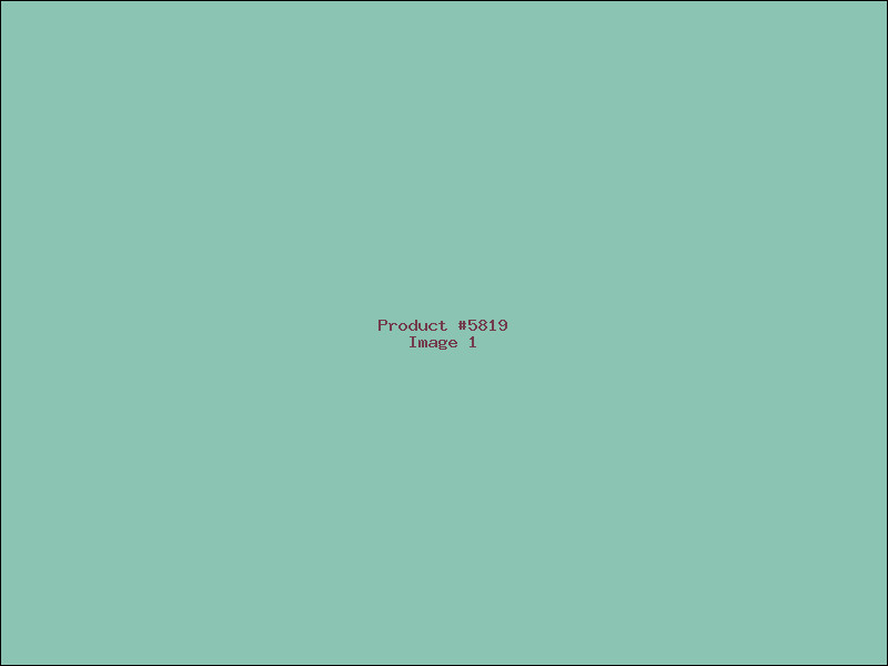Example Product 5819