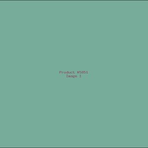 Example Product 5851