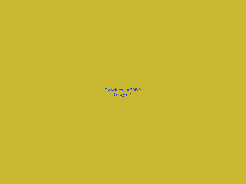 Example Product 5852