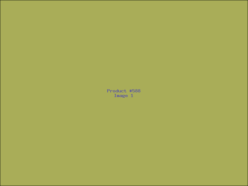 Example Product 588