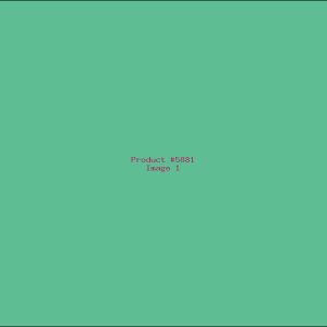 Example Product 5881