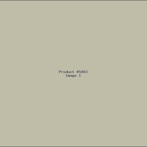 Example Product 5883