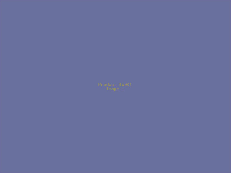 Example Product 5901