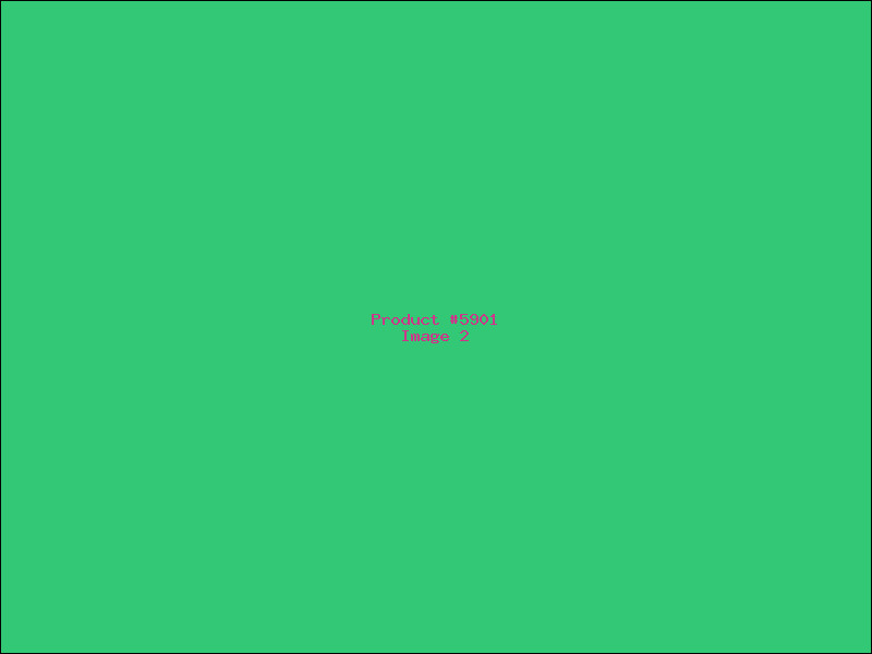 Example Product 5901 - Image 2