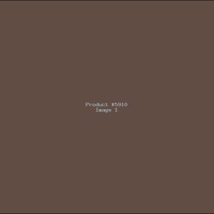 Example Product 5910