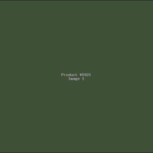 Example Product 5921