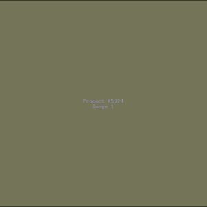 Example Product 5924