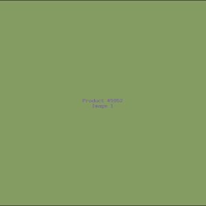 Example Product 5952