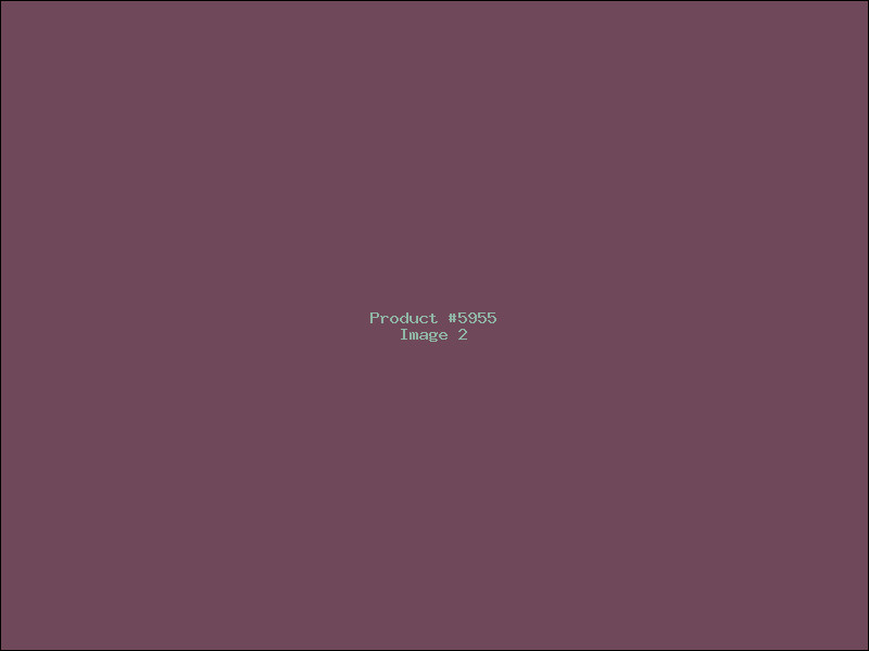 Example Product 5955 - Image 2