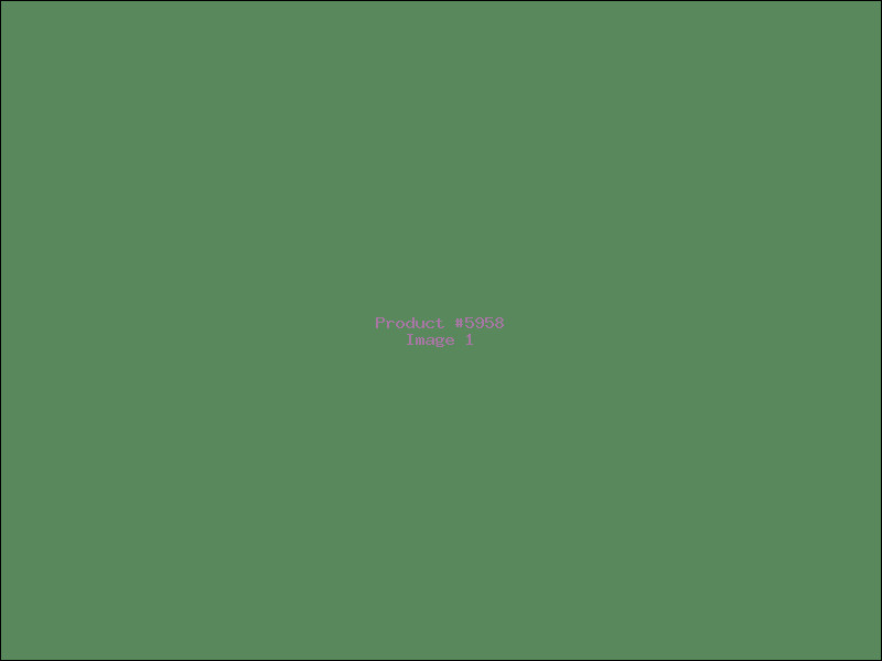 Example Product 5958