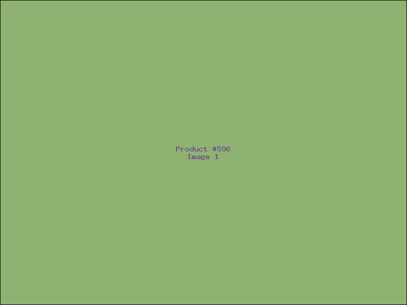Example Product 596