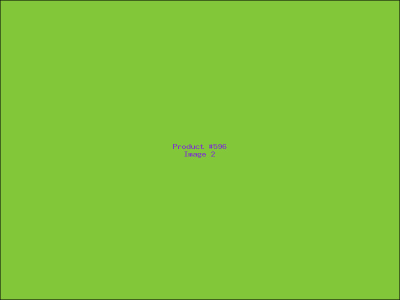 Example Product 596 - Image 2