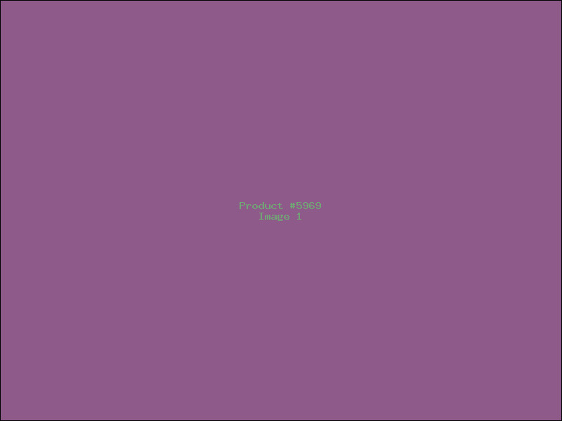 Example Product 5969