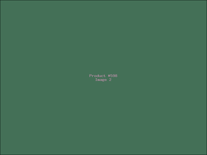 Example Product 598 - Image 2