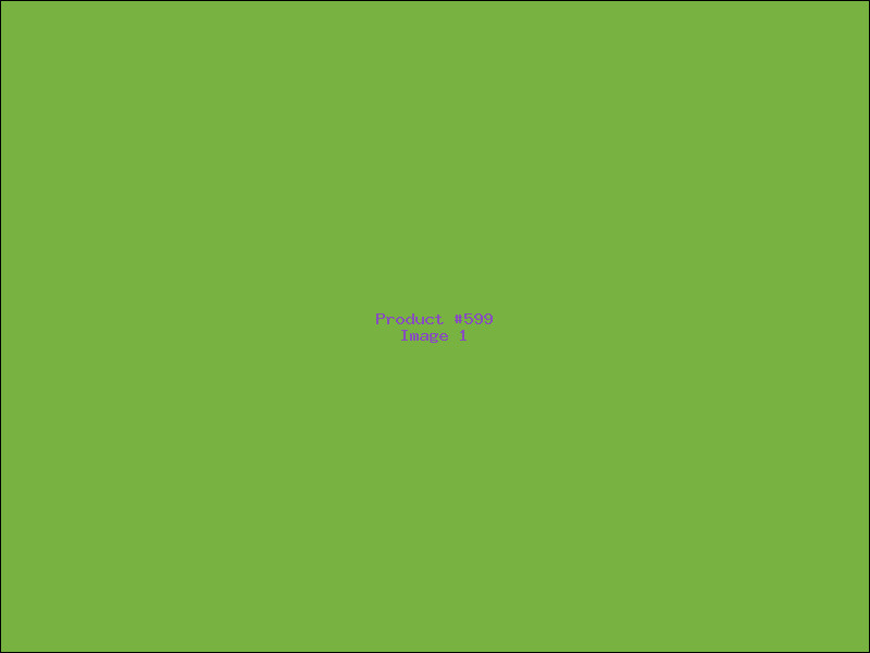 Example Product 599