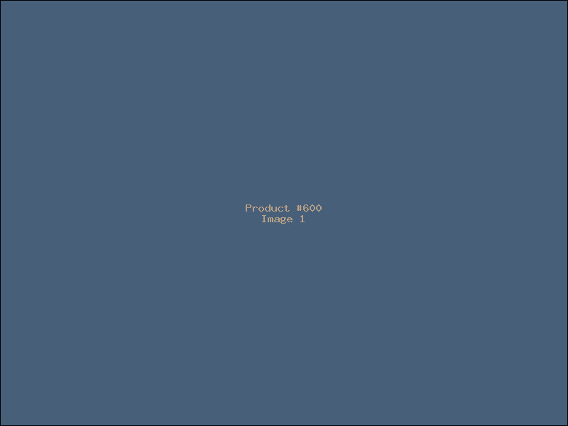 Example Product 600