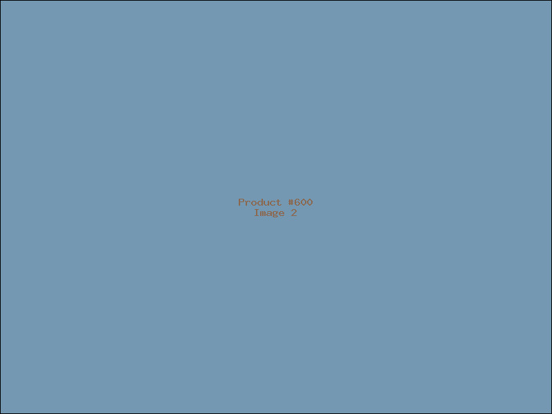 Example Product 600 - Image 2