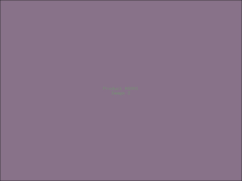 Example Product 6001 - Image 2