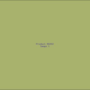 Example Product 6002