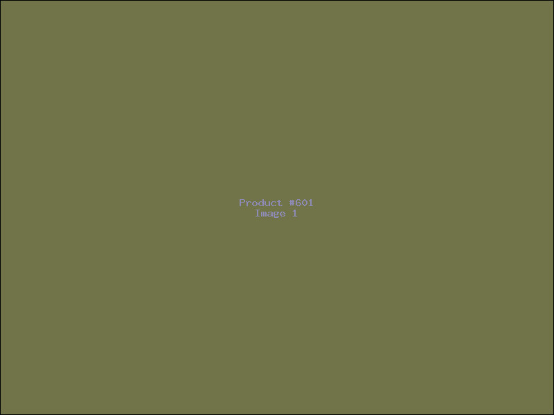 Example Product 601