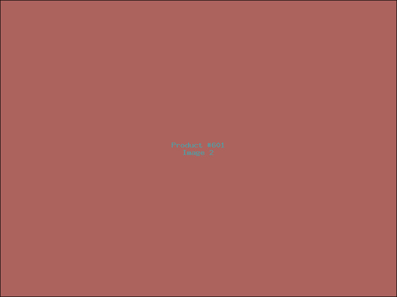 Example Product 601 - Image 2