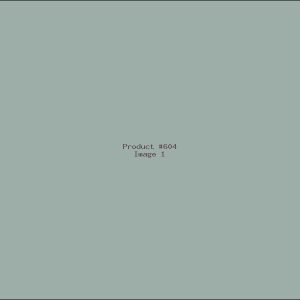 Example Product 604