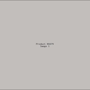 Example Product 6079