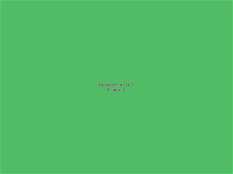 Example Product 6109