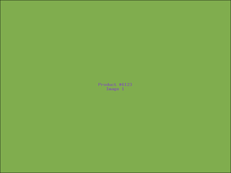 Example Product 6123