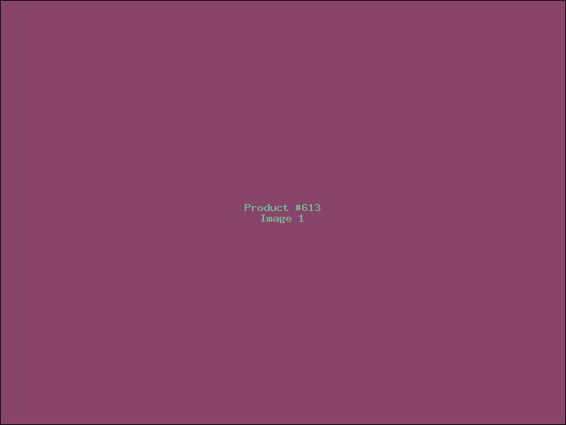 Example Product 613