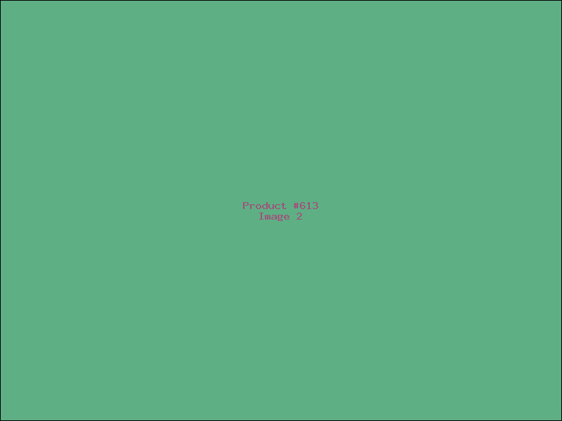 Example Product 613 - Image 2