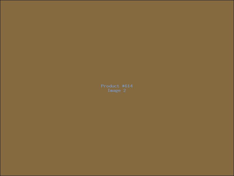 Example Product 614 - Image 2