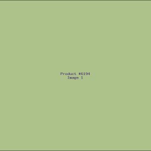 Example Product 6194