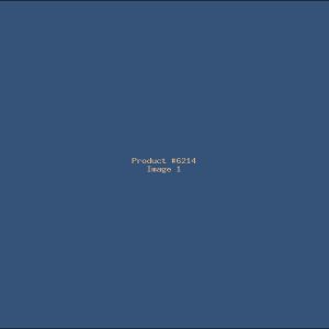Example Product 6214
