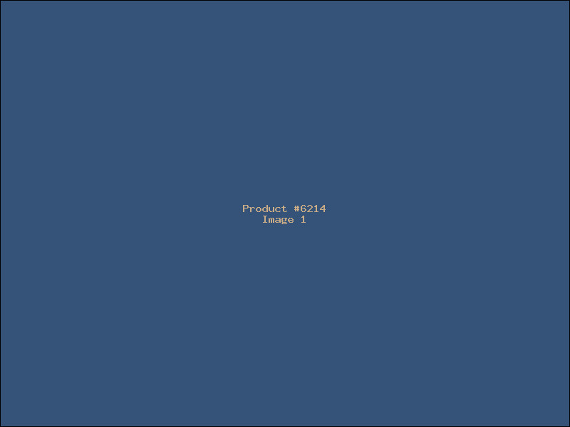 Example Product 6214