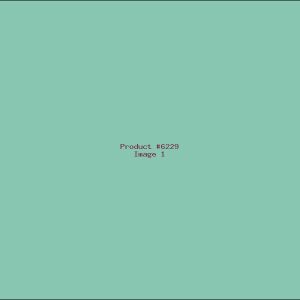 Example Product 6229