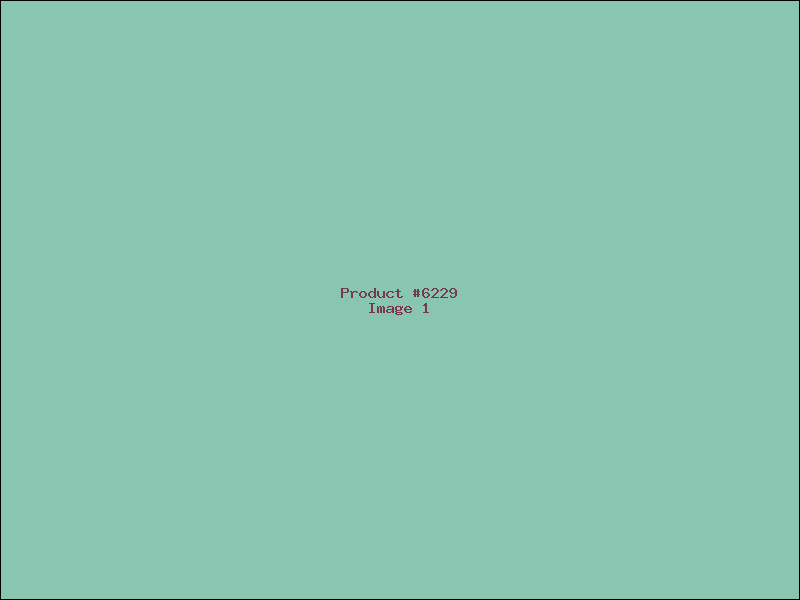 Example Product 6229