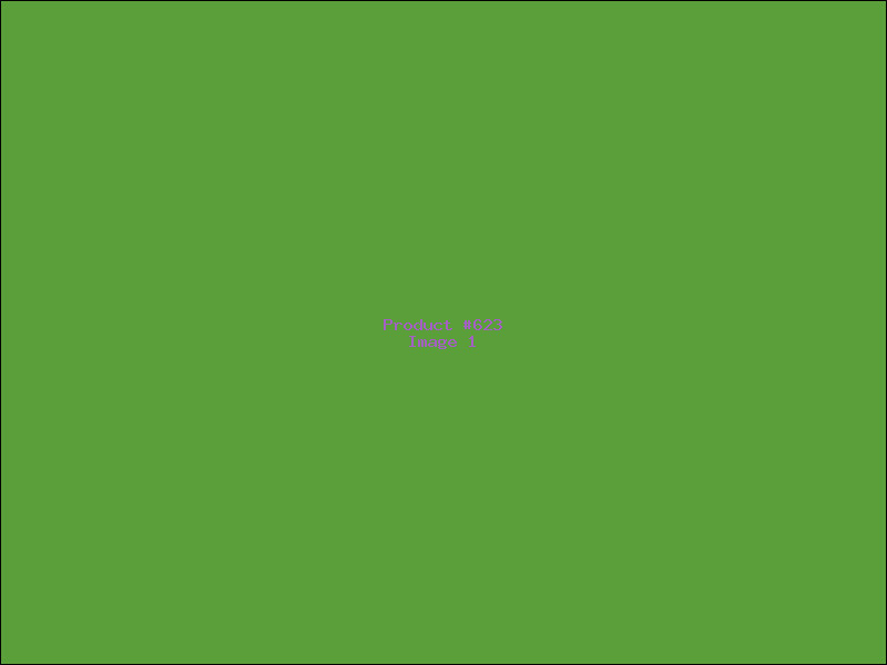 Example Product 623